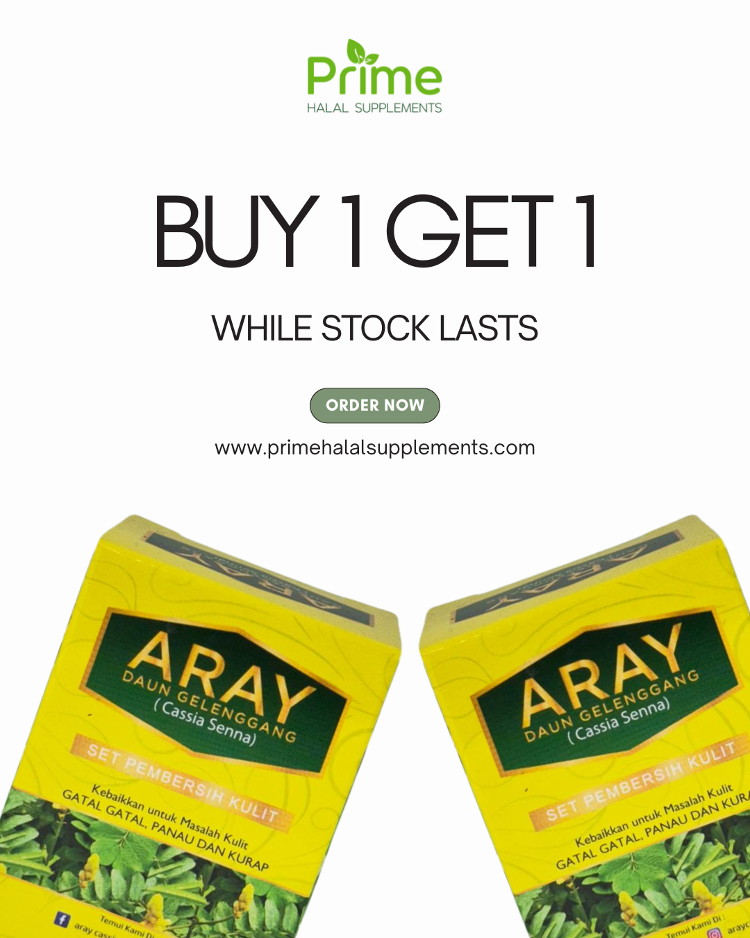 [Buy 1 Free 1] Aray Daun Gelenggang (Cassia Senna)