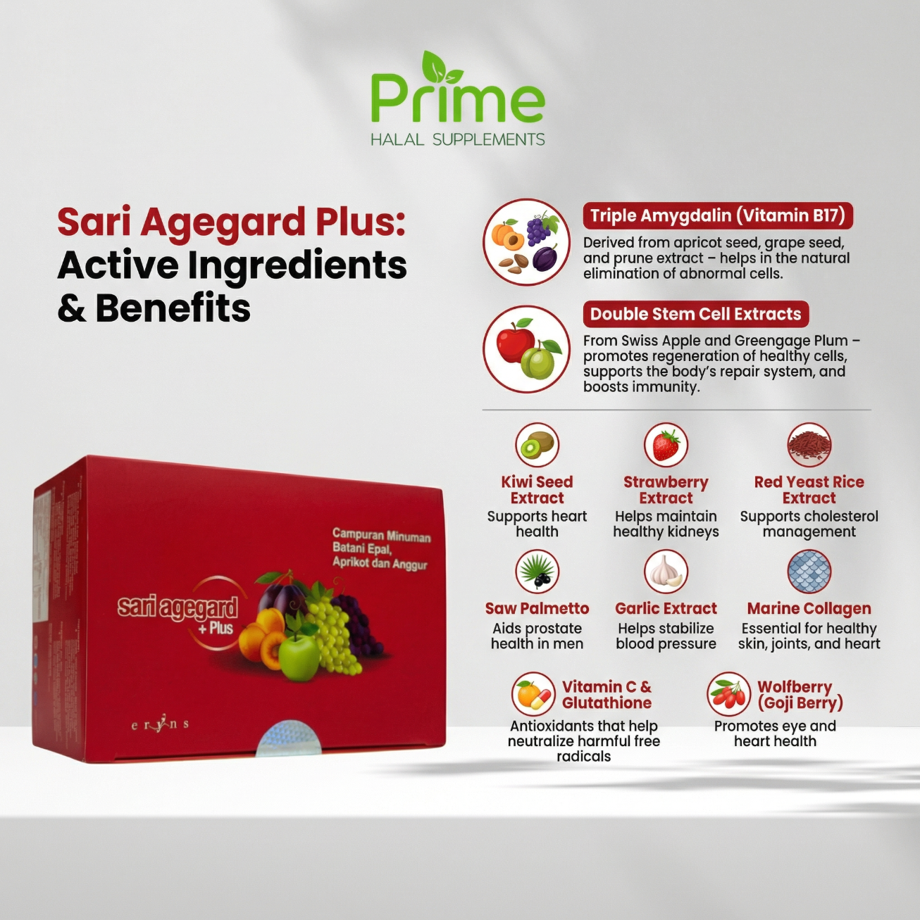 Sari Agegard Plus
