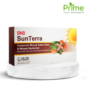 SunTerra