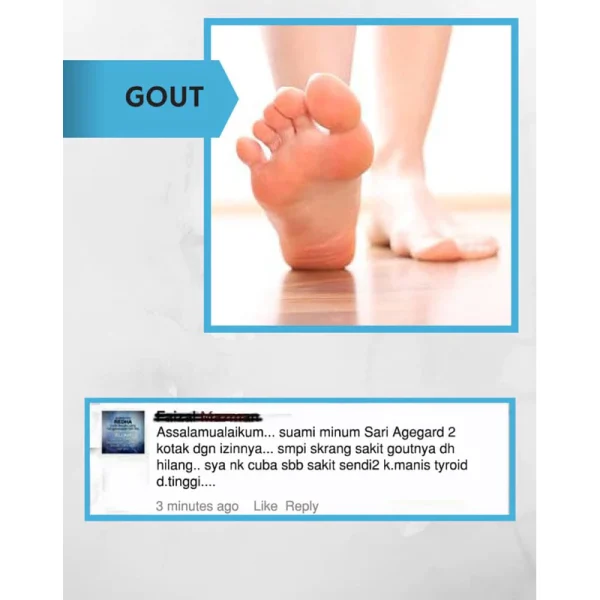 Sari Agegard Plus - Image 4